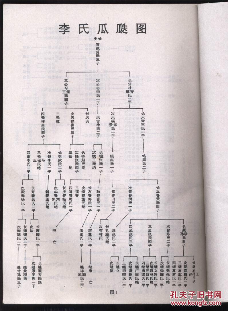 李氏家谱- 云南剑嘉文化信息传播有限公司
